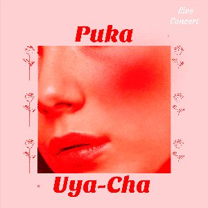 Puka Uya-Cha (Live Concert) [feat. Naranjita de Sucre & Los Tigres de la Jarana] - Single