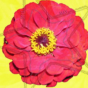 Indie/Rock Playlist: May 2012