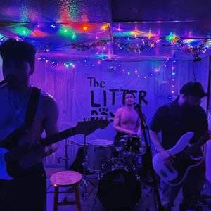 The Velvetheads 的头像
