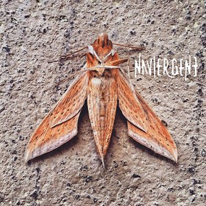 Navier Gene [Explicit]