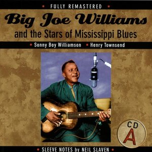 Image for 'Big Joe Williams and the Stars of Mississippi Blues'