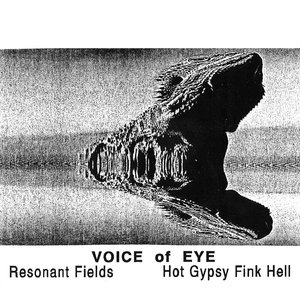 Resonant Fields / Hot Gypsy Fink Hell