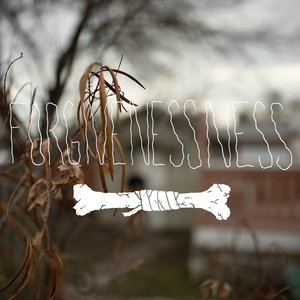 Forgivenessness