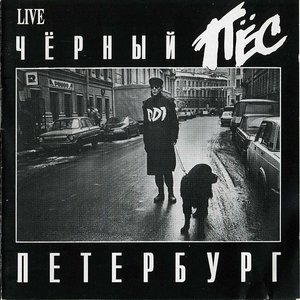Чёрный пёс Петербург (Live)