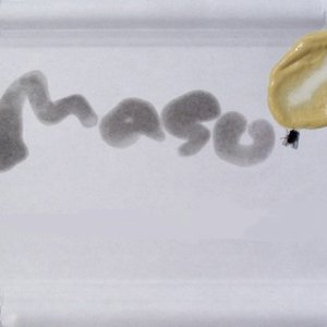 Maso 的头像