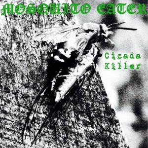 Cicada Killer