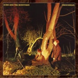 Bild für 'Crocodiles (Expanded & Remastered)'