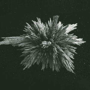 Chant d'Oiseau