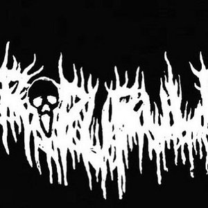 Necropurulence 的头像