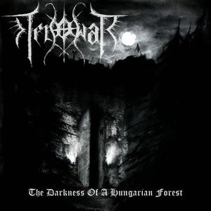 The Darkness Of A Hungarian Forest