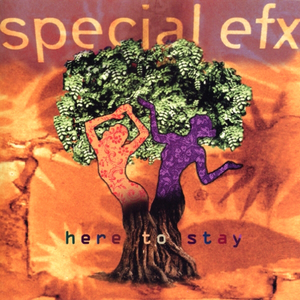 Here To Stay cover