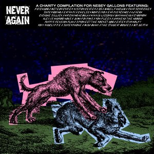 NEVER AGAIN (Songs for Nesey Gallons)