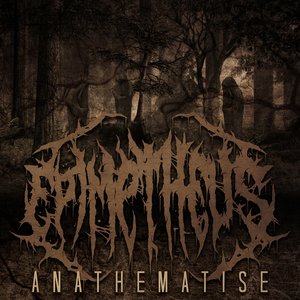 Epimetheus 的头像