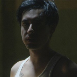 Rocco And The Stars 的头像
