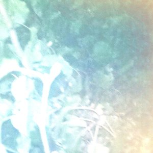 Loop Collections 5