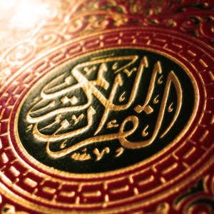The Holy Quran - Le Saint Coran, Vol 12