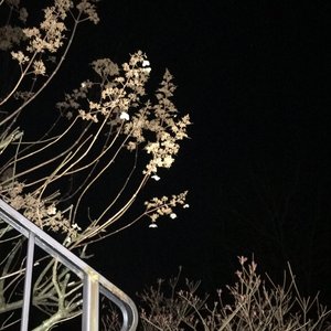 pool party at the coffee shop