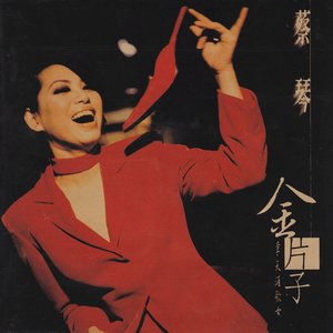 金片子 壹・天涯歌女