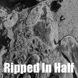 Ripped In Half 的头像