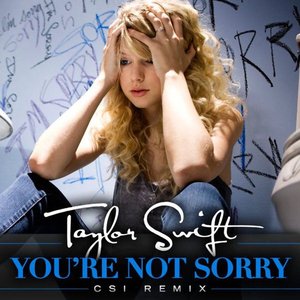 You're Not Sorry (CSI Remix) - Single