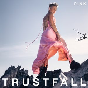 Trustfall Album Artwork