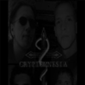 Image for 'Cryptomnesia'