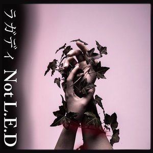 Not L.E.D