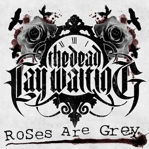 Roses Are Grey - Single