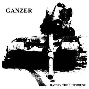Rats in the shithouse