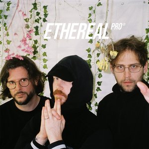 etherealPRO 的头像
