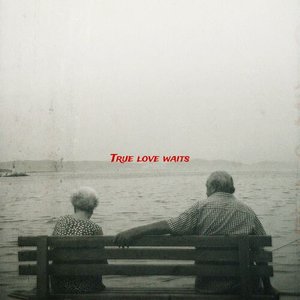 True Love Waits