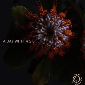 A Day With.456