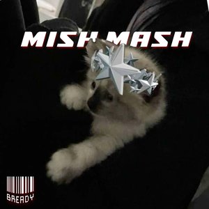 Mish Mash