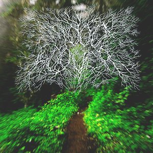 Alone and Forgotten