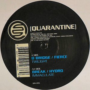 D-Bridge & Fierce 的头像