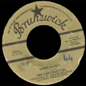 Various Artists - (Life Has) No Meaning Now  Shing-A-Ling - Zortam Music