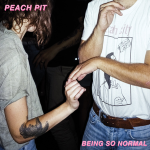 Peach Pit Lyrics Song Meanings Videos Full Albums Bios Sonichits Peach Pit Lyrics Song Meanings Videos Full Albums Bios Sonichits