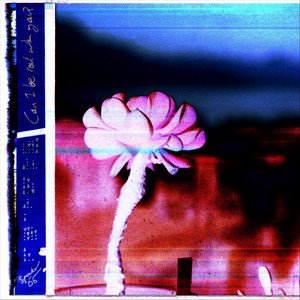 Can I be real with you?