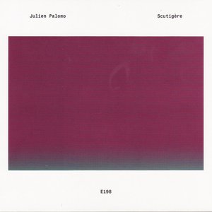 Scutigère