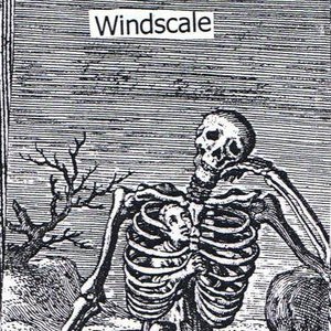 Windscale 的头像