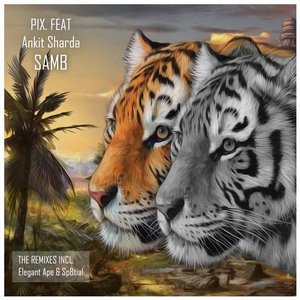 Samb - Single