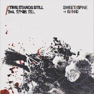 Time Stands Still - Single