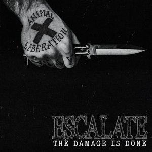 The Damage is Done - EP