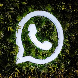 Avatar for Whatsapp