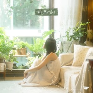 I Miss You so Much - Single