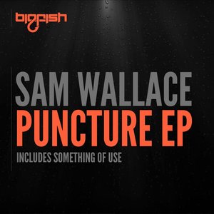 Image for 'Puncture EP'