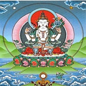 AudioBuddha 的头像