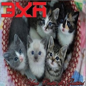 Una Cesta de Gatitios