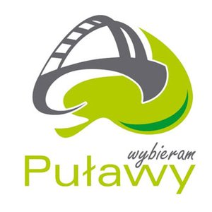 “Jakieś Gówno Zapisane Zieloną Czcionką”的封面