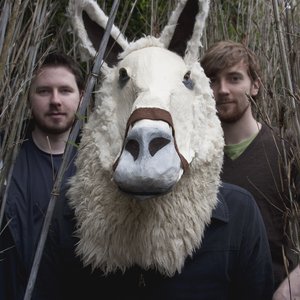 Plastic Animals 的头像
